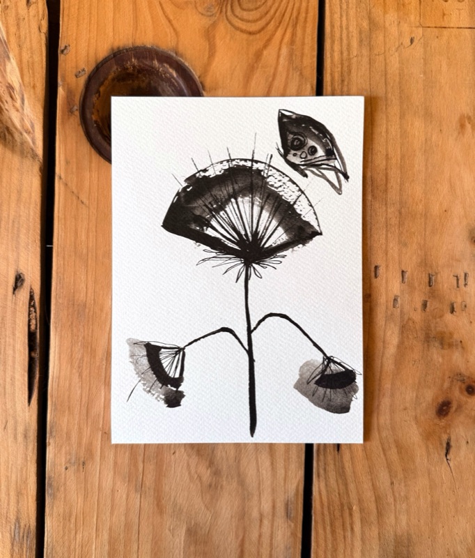 Flor/insecte/ocell 1